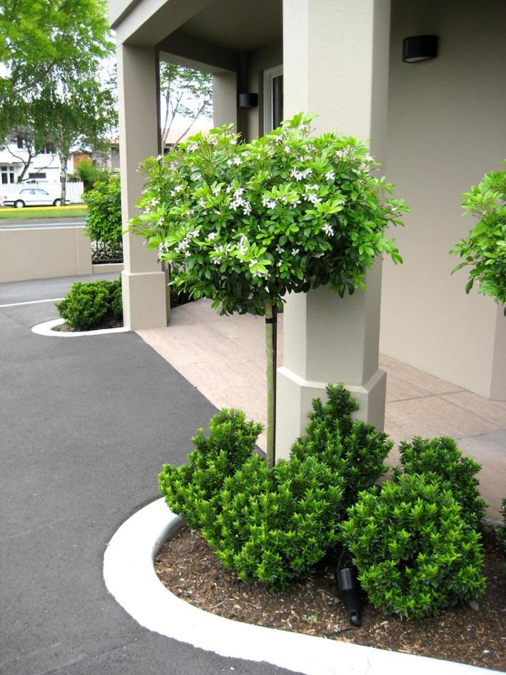 Salerno Motel Apartments Christchurch Luaran gambar Gardenia